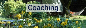 Coaching - Michael Steinau