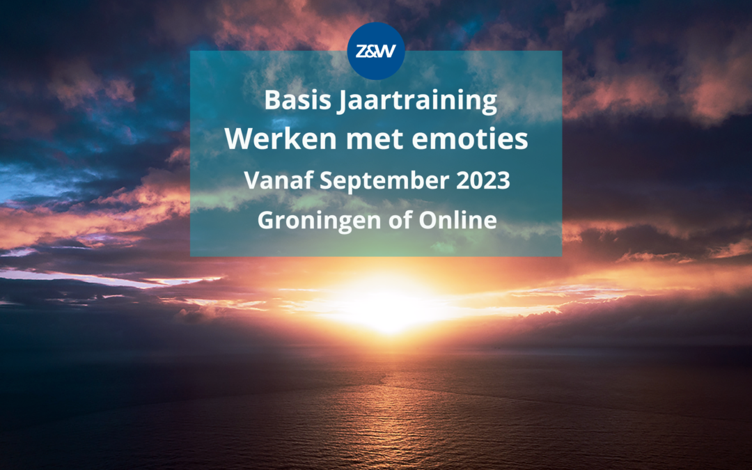 Jaartraining Zijnsgeoriënteerd werken met emoties | Vanaf September 2023 | Groningen en Online