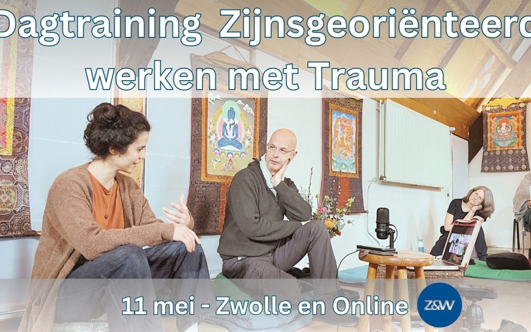 Dagtraining Trauma: Grondbesef | Zwolle of Online